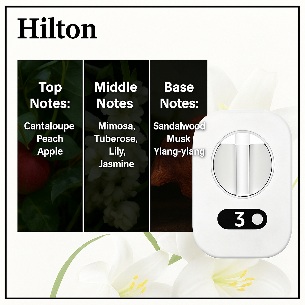 Minimal Aroma Diffuser – Pure Tranquility Set