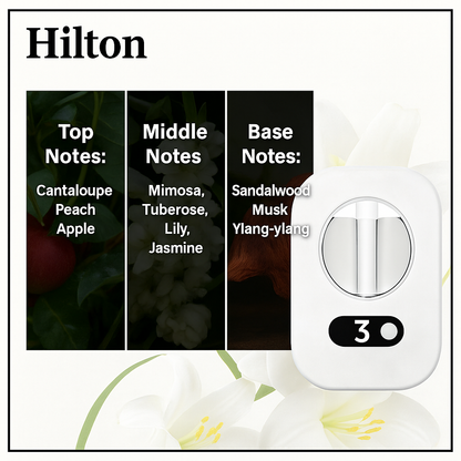 Minimal Aroma Diffuser – Pure Tranquility Set